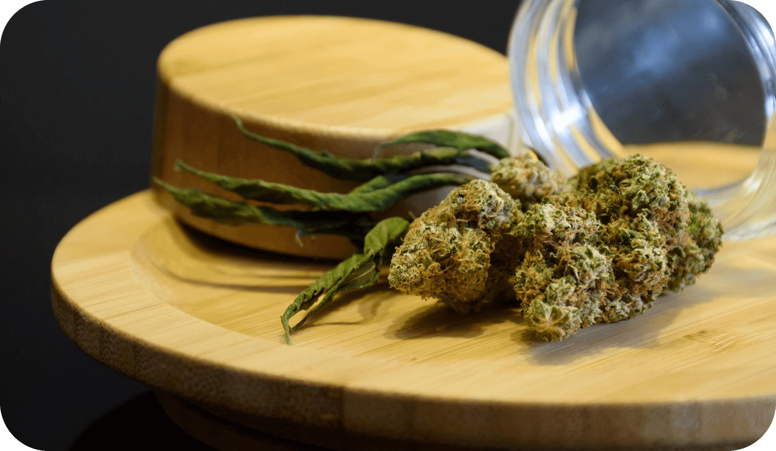 How to Properly Store Cannabis for Maximum Freshness