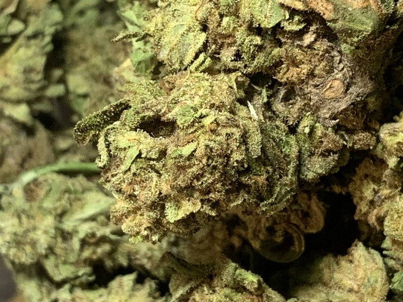 **50oz** AA UK Cheese : Indica hybrid