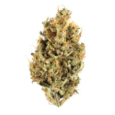 **140oz** AAAA Gusherz : Indica hybrid
