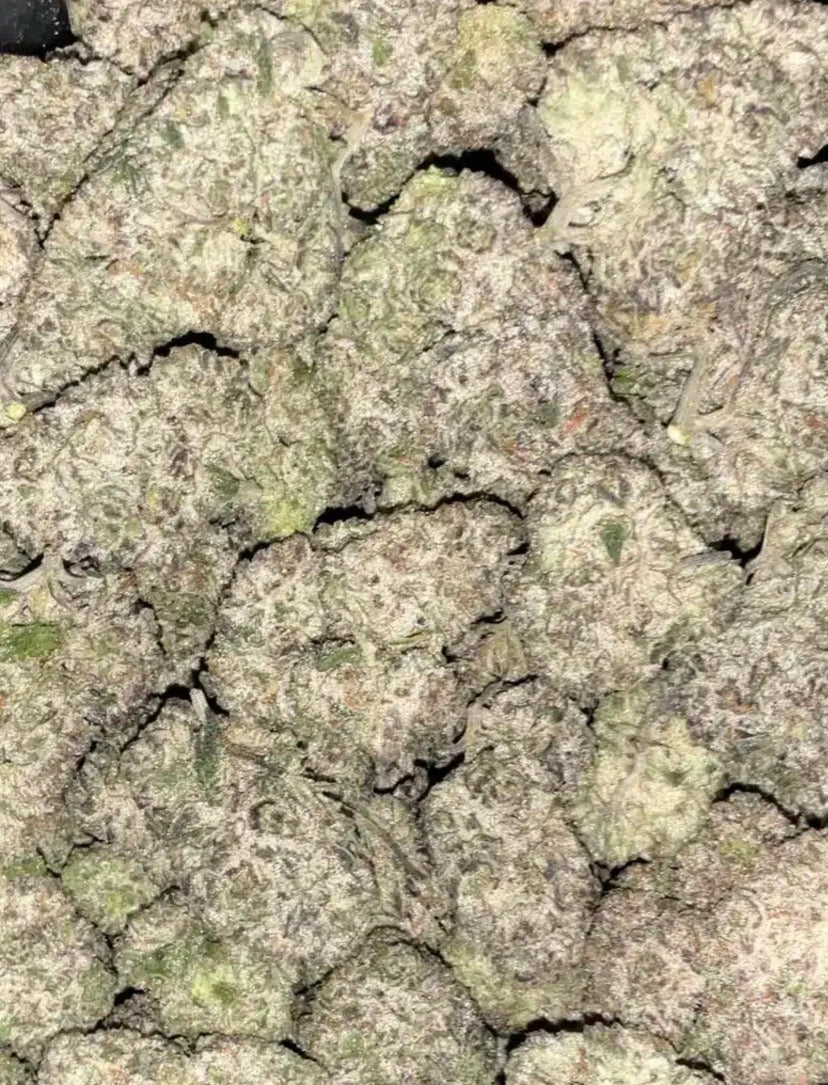 **80oz** AA+ Petroleum Biscotti - Indica hybrid
