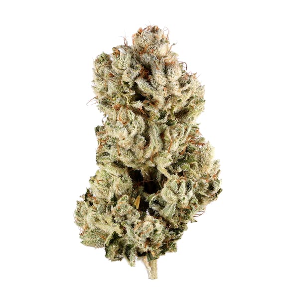 **60oz** AA - GG4 - hybrid