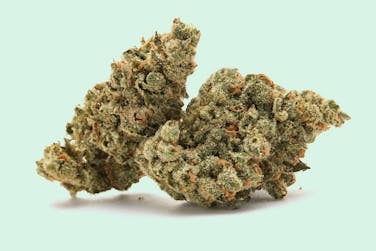 **80oz** AAA Gummy Worms *smalls* : Indica hybrid