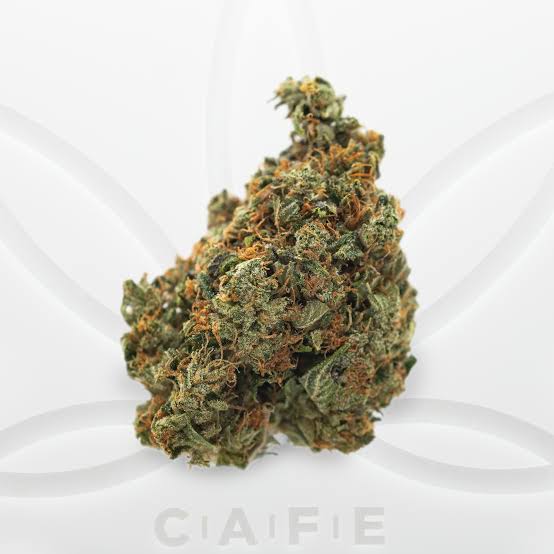 **50oz** AA Hindu Kush : Indica