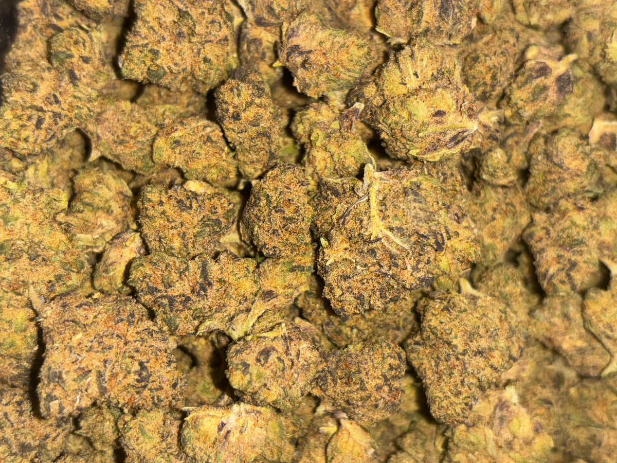 *50oz** AA PAYPAYA BOMB indica dominated