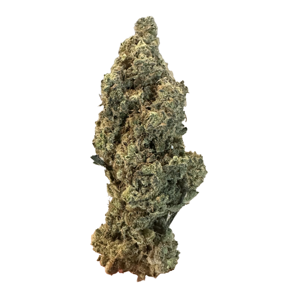 **100oz** AAA Gas Mac : hybrid