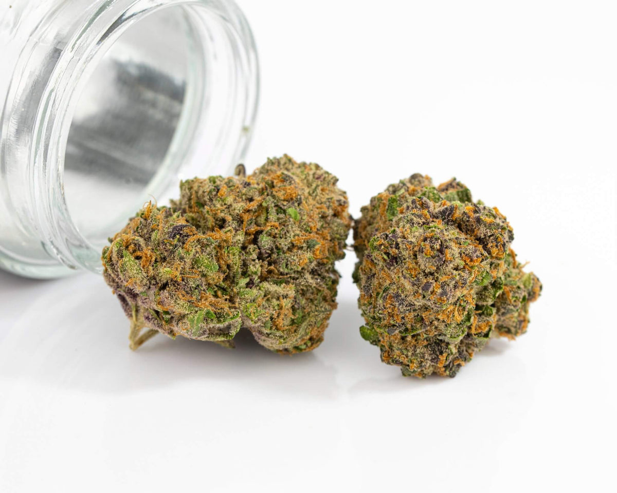**60 oz** AA Oreo Blizzard: Indica Hybrid