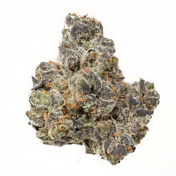 **60oz** AA Apple Fritter *smalls* : hybrid