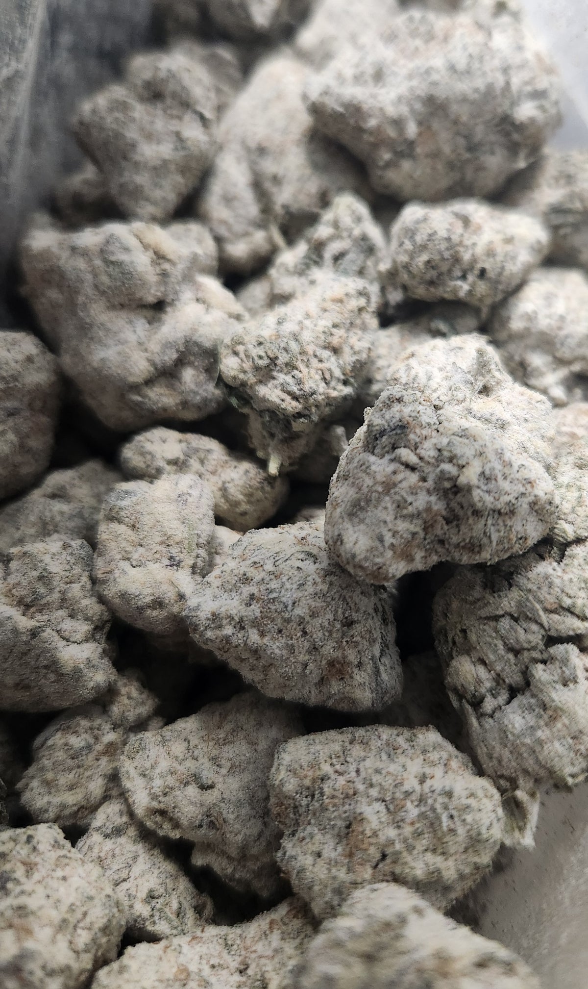 AAAA+ **$200/OZ** Colorado Bubba-Indica