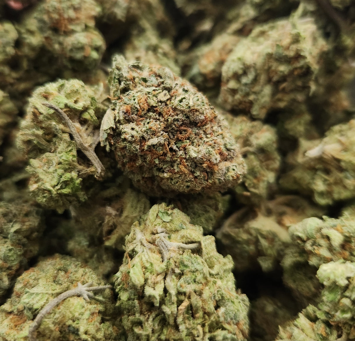 **90oz** AAA Frosted Fruit Cake : indica hybrid