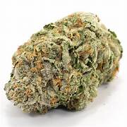 **50oz** AA Pink Kush : indica