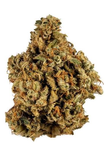 **50oz** AA Cookie Glue : hybrid