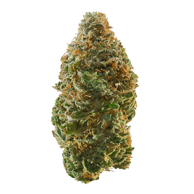 **80oz** AAA Dosi pop *smalls* : hybrid