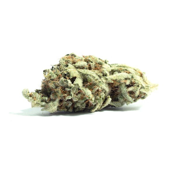 **50oz** AA Bear Dance: Sativa-hybrid