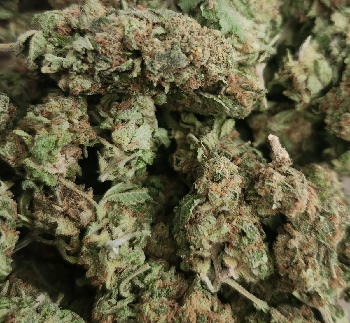 AA **$50/OZ** Half Baked -Indica Hybrid