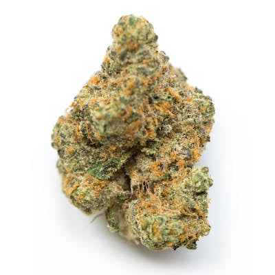 **50oz** AA Melon Gum : sativa hybrid