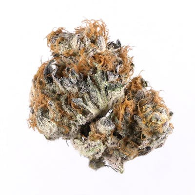 **80oz** AAA Punch Breath : hybrid