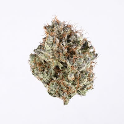 **50oz** AA Zombie OG: Indica