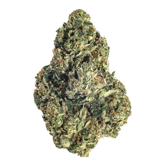 **70oz** AA+ Master Chief : hybrid