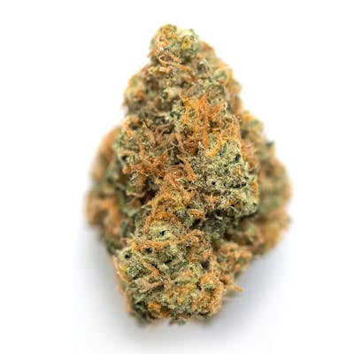 **80oz** AAA Jigglers *smalls* : hybrid
