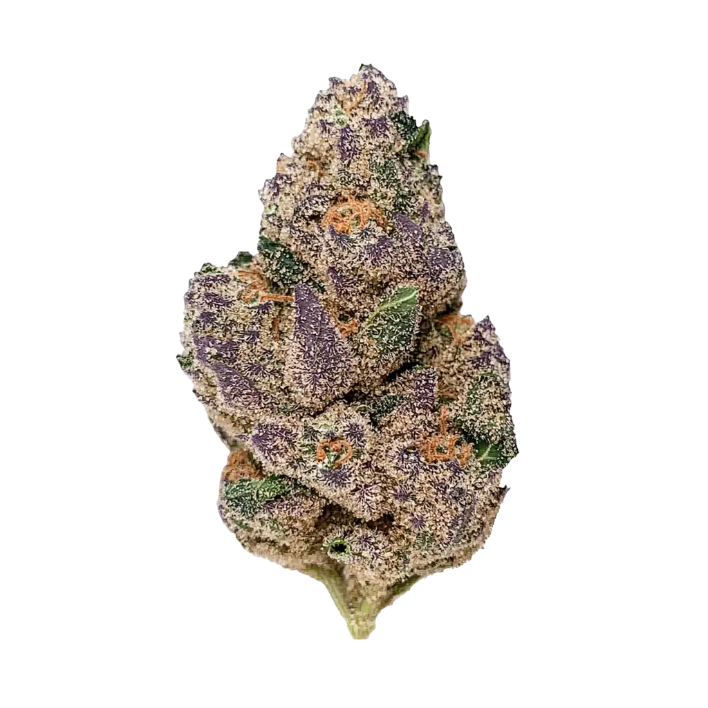 **160oz** AAAA Caviar : hybrid