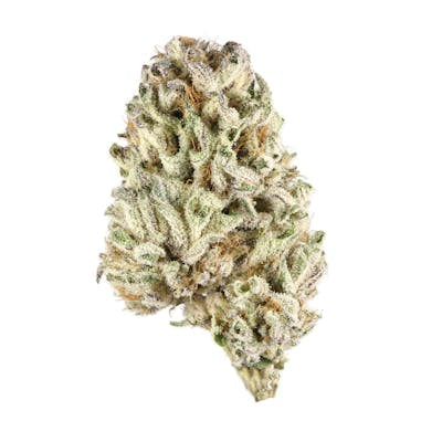 **120oz** AAA Biscotti Dough : hybrid