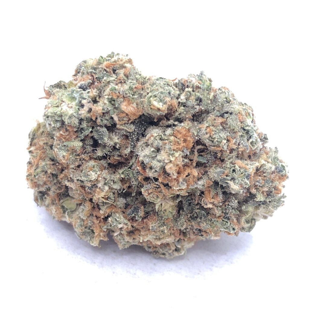 **70oz** AA Oreo Stomper : hybrid