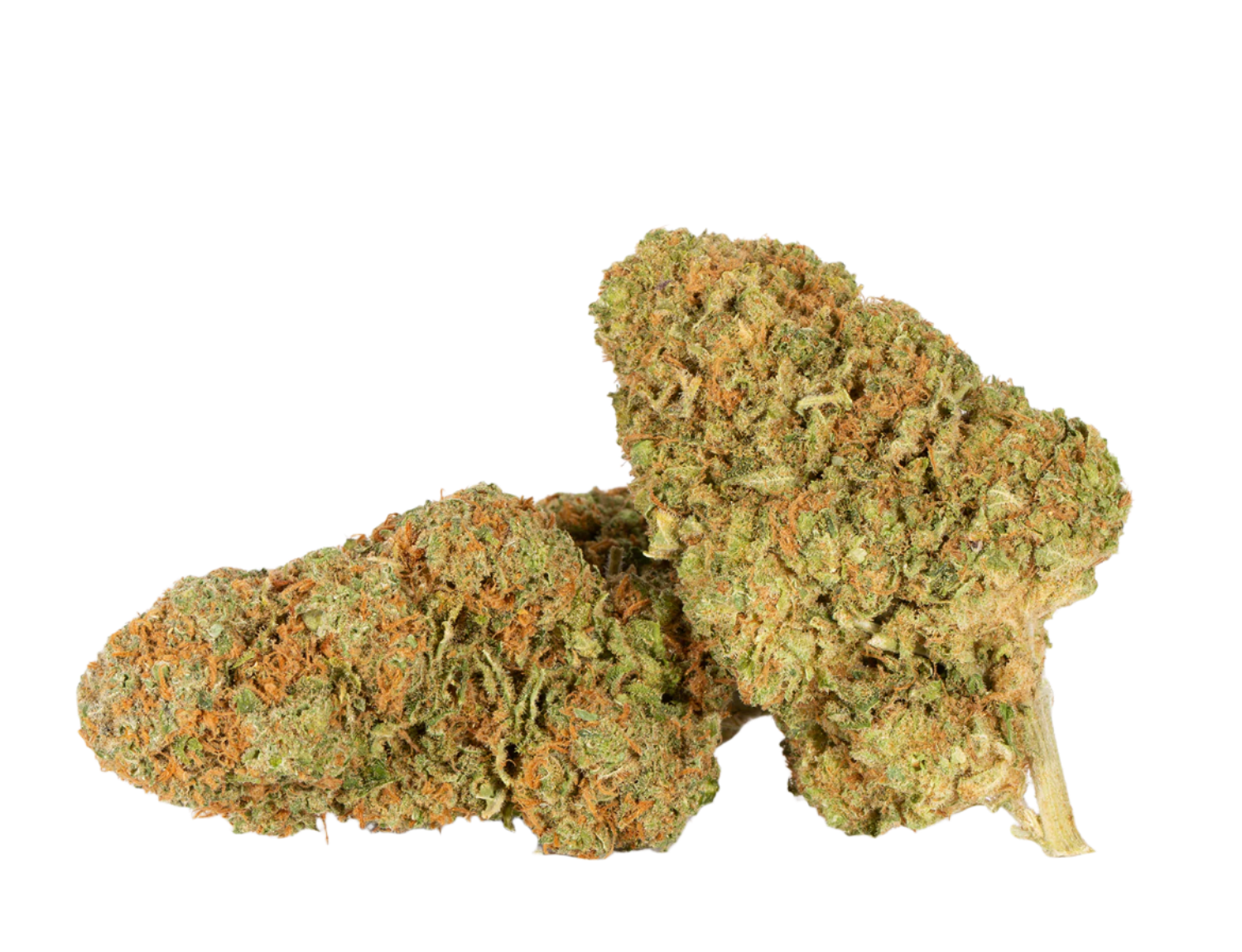 Dutch Treat (Indica Hybrid)