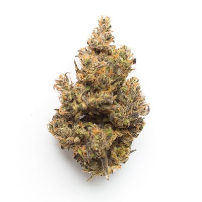 **70oz** AA* Blueberry Pancakez *smalls* : hybrid