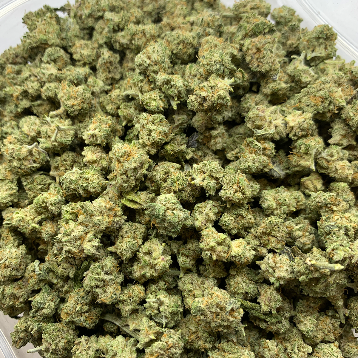 **80 OZ** AAA MAC-1 POPCORNS (Hybrid)