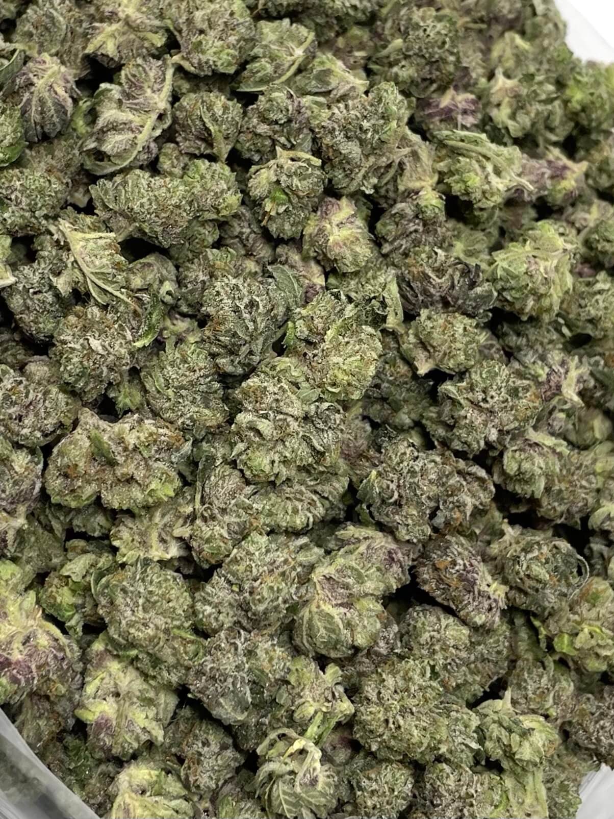 **50oz** AA Runtz : hybrid