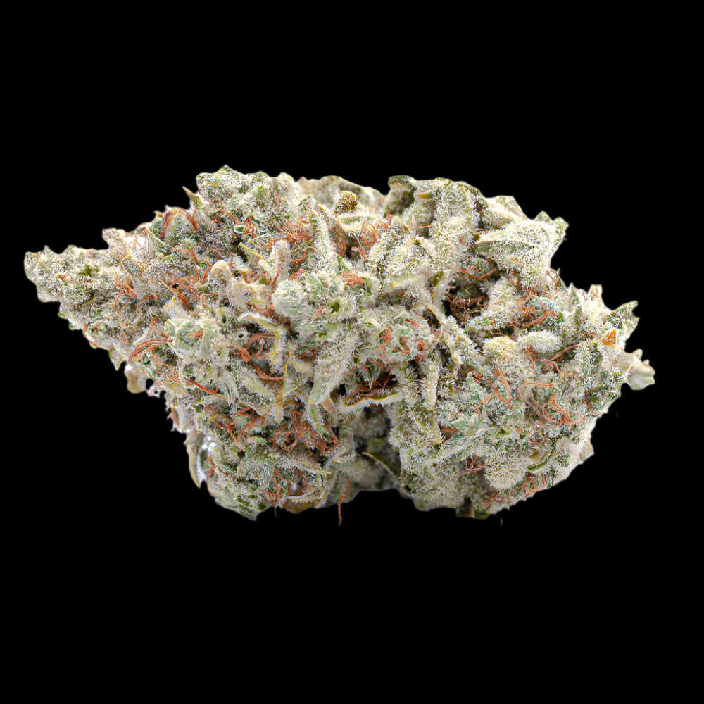 CEREAL MILK SMALL AAA+ (Hybrid)