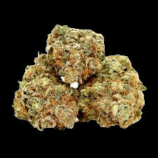 **60 OZ** AA TROPICANA COOKIES (SATIVA HYBRID)