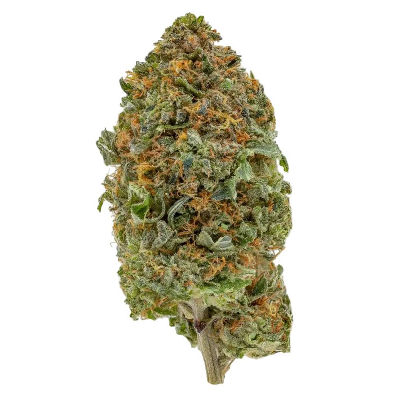 **80 OZ** AAA MK ULTRA SMALL(INDICA HYBRID)