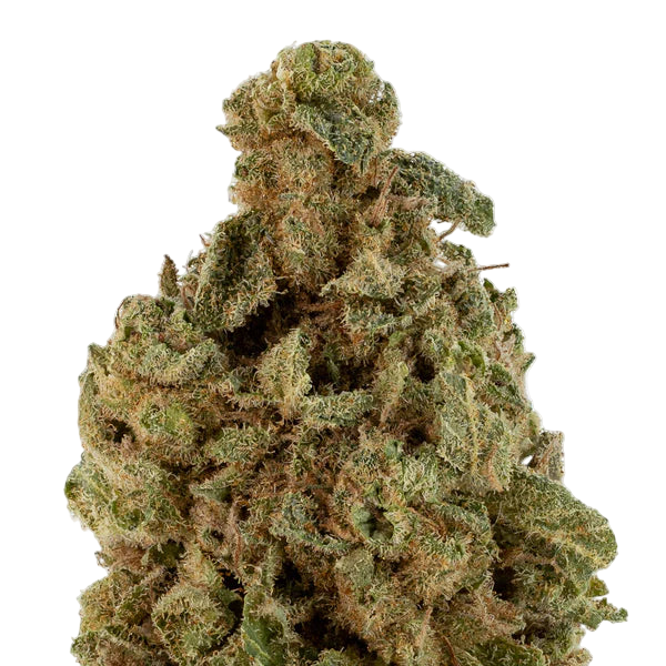 **60 OZ** AA OMAC (INDICA HYBRID)