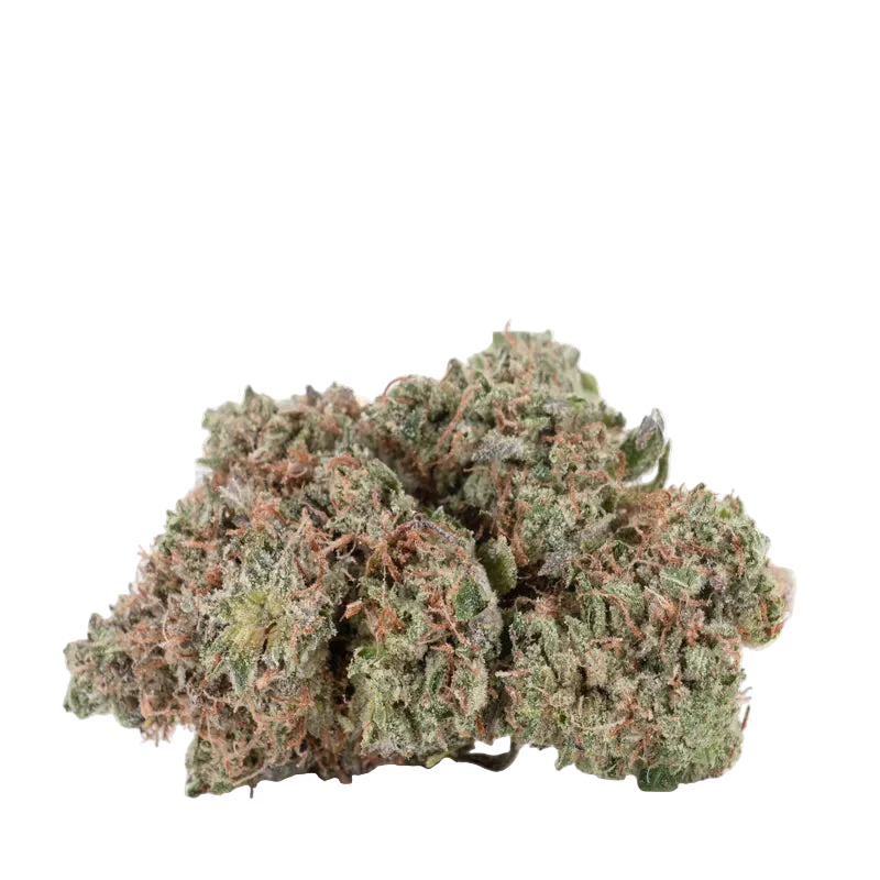 **160oz** AAAA Pink Goo : Indica hybrid