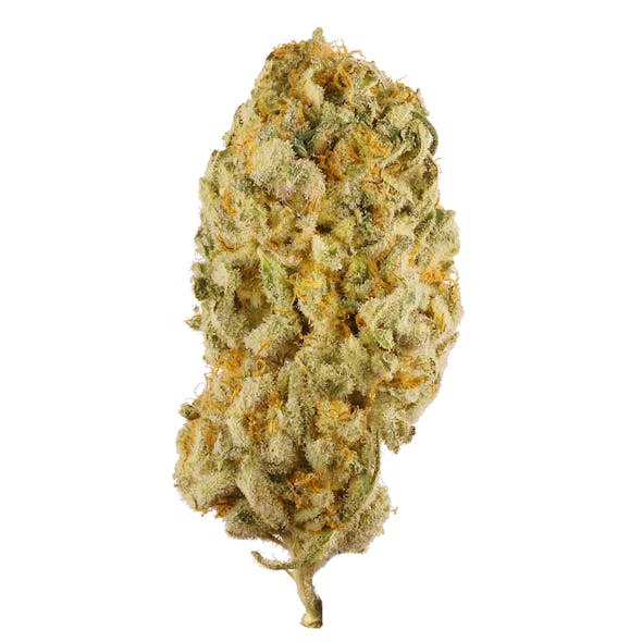 **50oz** AA Jack Herer *smalls* : sativa hybrid
