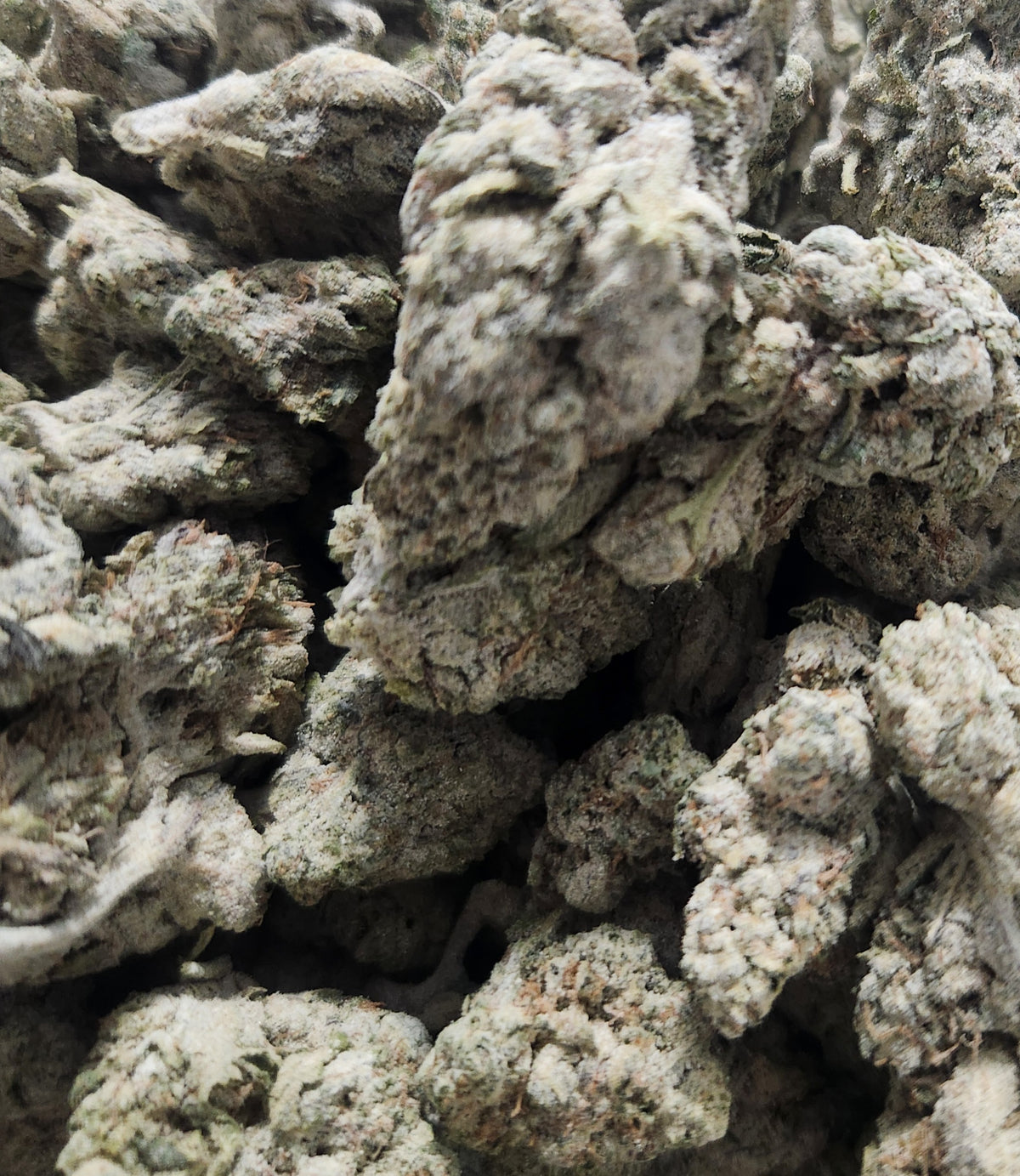 AAAA+ **$180/OZ** Pakistan Valley -Indica