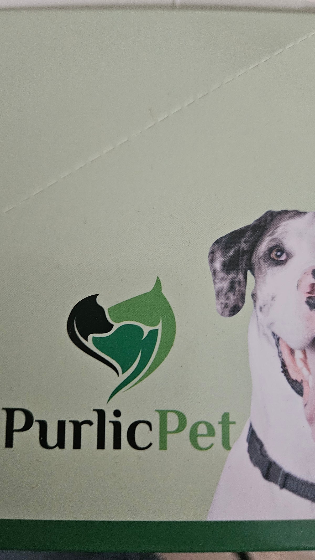 CBD Oil for Pets